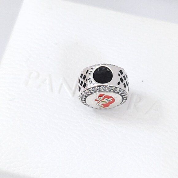 Pandora Tulips in a Wooden Shoe Netherlands Travel Vacation Exclusive Bead Charm - Picture 5 of 7